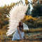 white light3.jpg