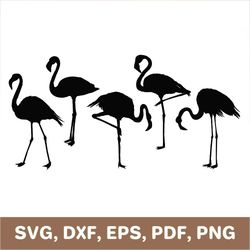 Flamingo svg, flamingo template, flamingo dxf, flamingo png, flamingo cut file, flamingo cutout, flamingo pdf, Cricut