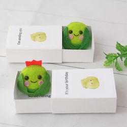 brussel sprout pocket hug in a box. vegan gift, small gift, anniversary gift, girlfriend, presents for boyfriend.