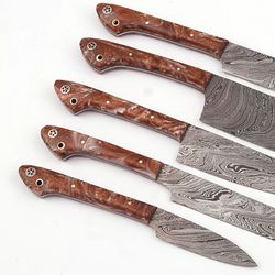 Handmade Damascus Chef Knife Set Of 5 Pcs With leather Sheath Father's Day Gift Groomsmen Gift BBQ