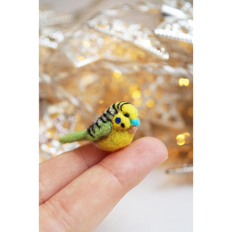 miniature-budgie-1