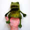 Frog toy puppet 2.JPG