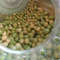 4 Automatic seed germinator Vitaseed.jpeg
