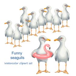 Bird watercolor clipart set , seagulls wall decor , watercolor PNG sublimation , bird prints digital download