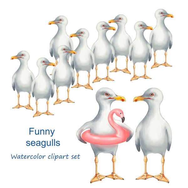 Funny seagulls watercolor clipart set.jpg