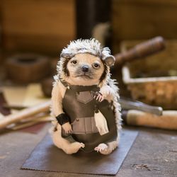 artist teddy hedgehog plush, collectible teddy toy, ooak teddy hedgehog, stuffed hedgehog teddy doll