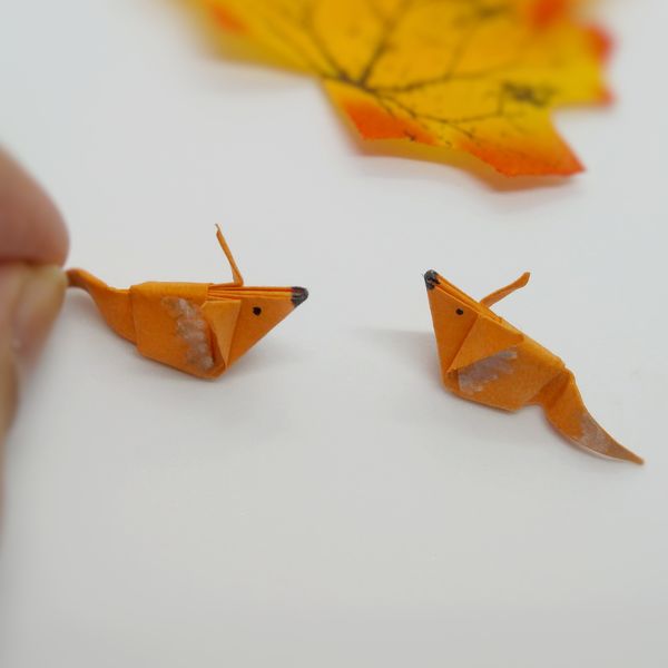 cute_animal_paper_fox.jpeg