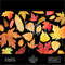 Watercolor-autumn-leaves-clipart-2.jpg