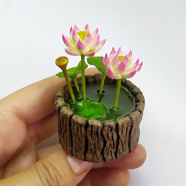 miniature lotus.jpg