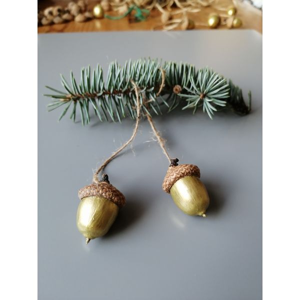oak acorn.jpg
