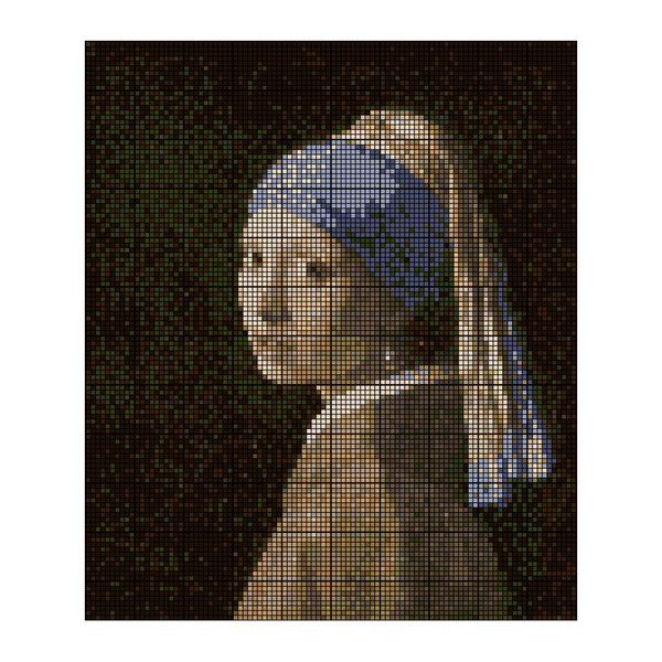 Girl with a Pearl Earring.jpeg