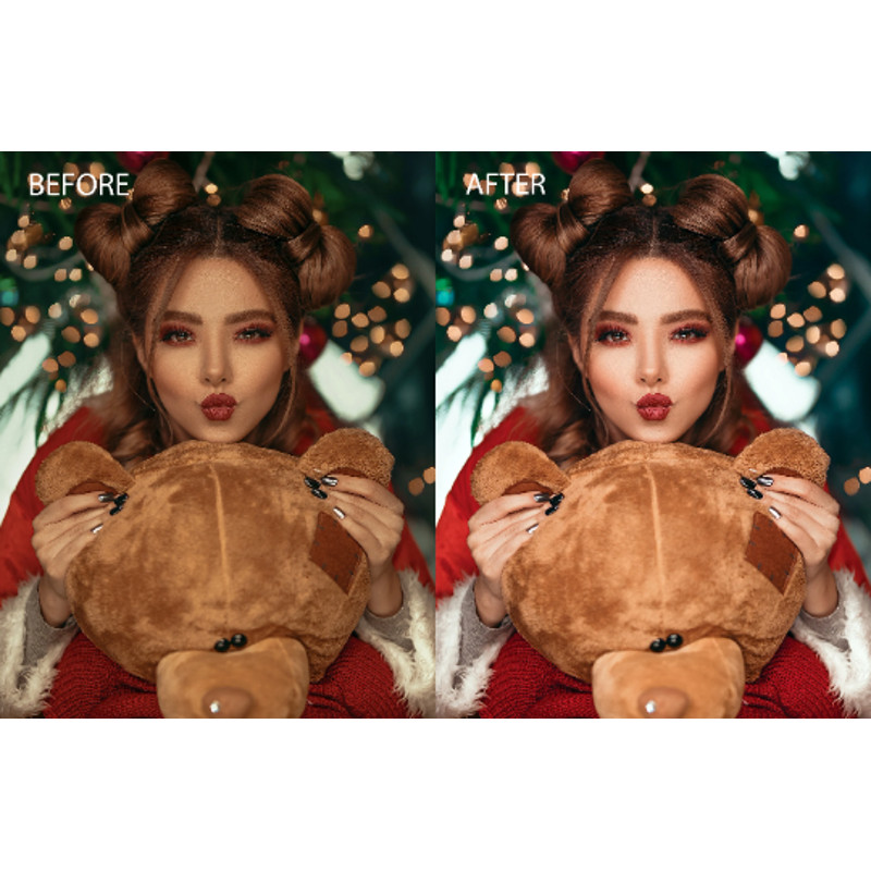 professional portait presets.png