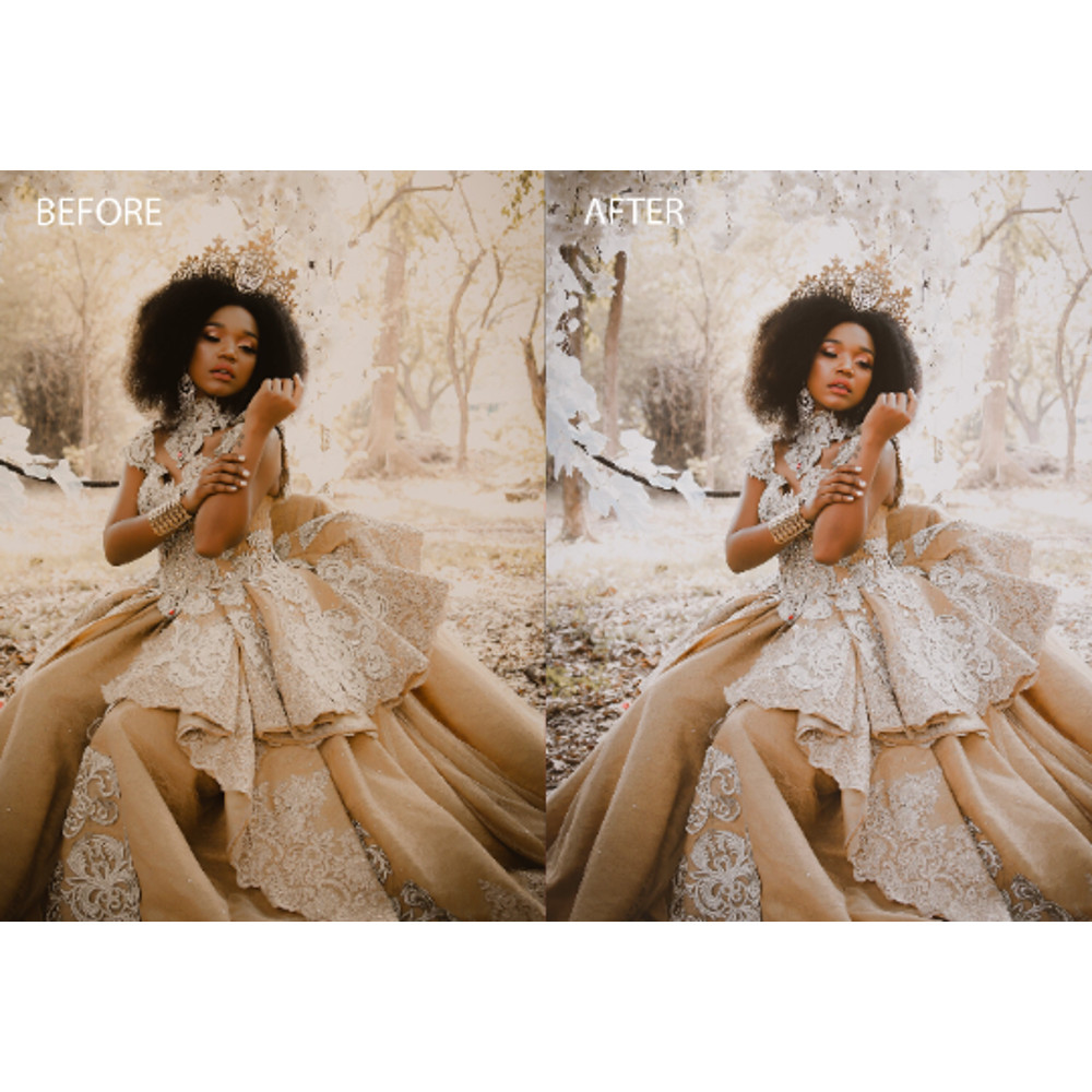 desktop wedding presets.png