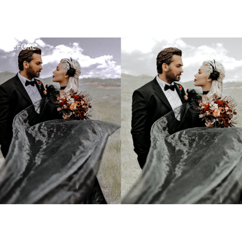 professional presets.png