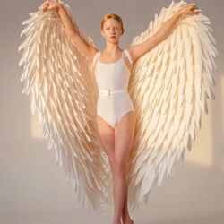 Angel wings,Cosplay costume, Wings for photo shoot
