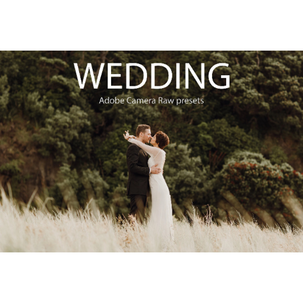 wedding presets.png