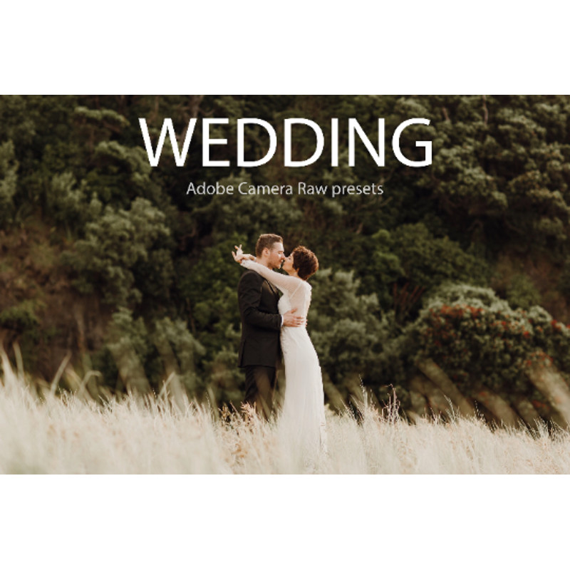 wedding presets.png