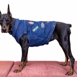 Denim dog vest Denim jacket patched Jeans dog vest Cropped denim jacket Denim dog coat Embroidered denim dog jumper/coat