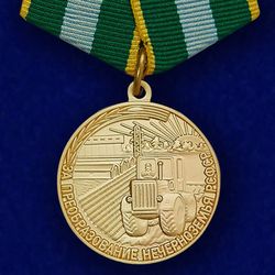 Medal For the Transformation of the Non-Chernozem Region of the RSFSR. USSR. Copy, reproduction
