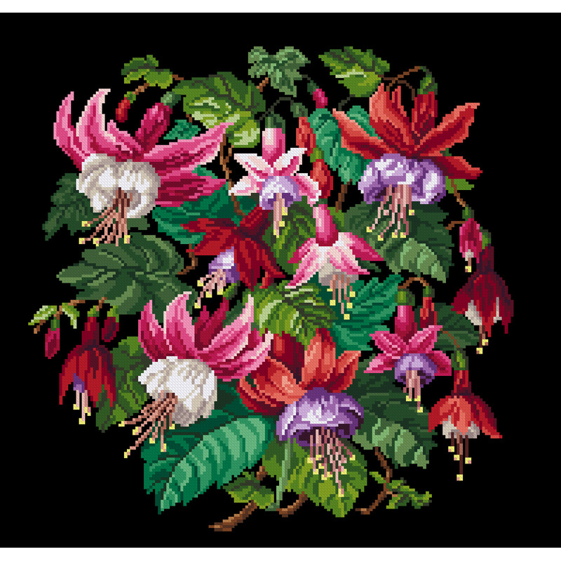 200426 Королевская фуксия.jpg