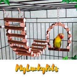 hazel wood ladder and swing, hanging ladder for medium birds,parrots, parrot ladder.parakeet toy. eco friendly bird cag