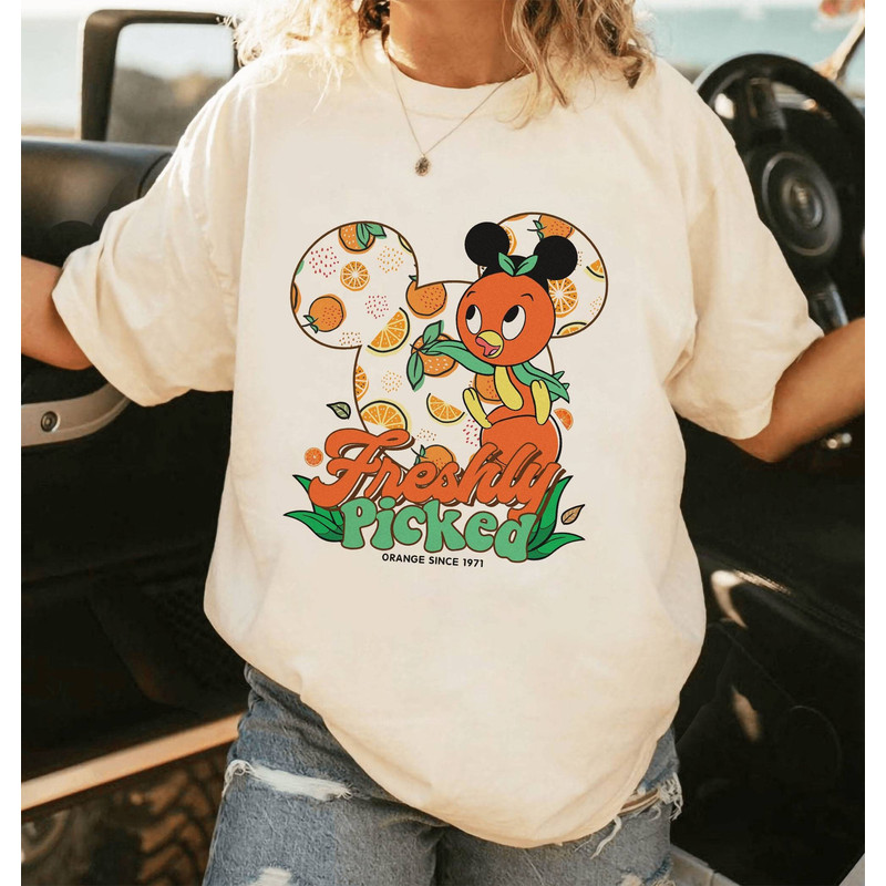 Vintage Epcot Orange Bird Shirt  Orange Bird Hello Sunshine Shirt  Family Vacation  Magic Kingdom Birthday Gifts For Kid.jpg