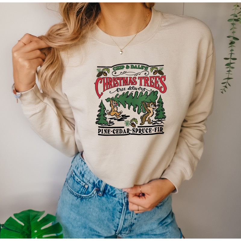 Chip n Dale Double Trouble Christmas comfort colors Shirt, Chip N Dale Christmas T-Shirt, Chip and Dale Sweatshirt, Disneyland shirts, gifts.jpg