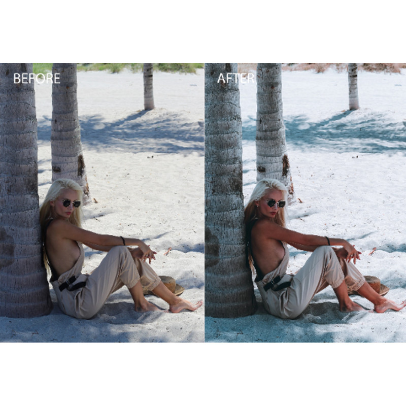 portrait presets.png