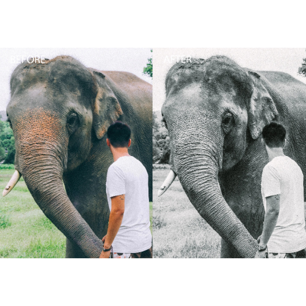 photoshop presets.png