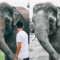 photoshop presets.png