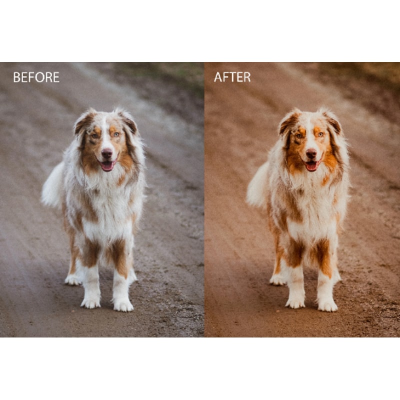 camera raw presets.png