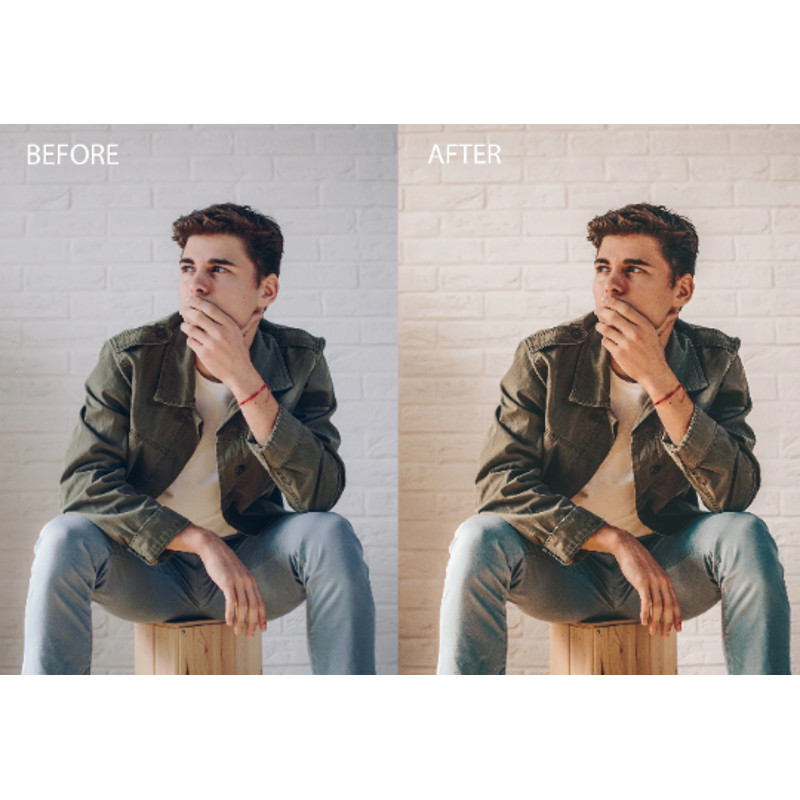 portrait presets.png