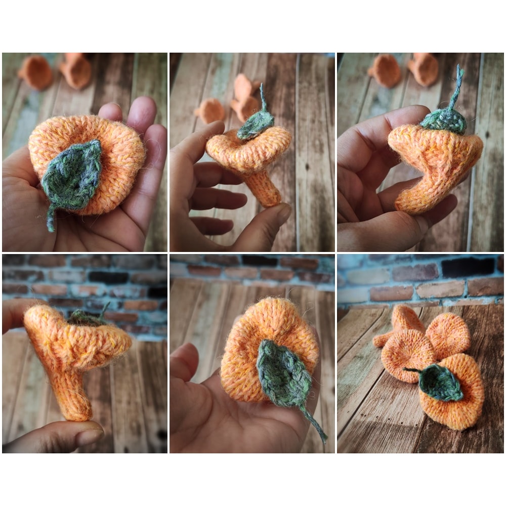 mushroom chanterelle pattern 2 .jpg