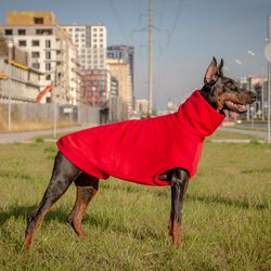 doberman custom red hoodies pitbull hoodie frenchies sweatshirt custom made large and small dogs sweater pajamas jumper