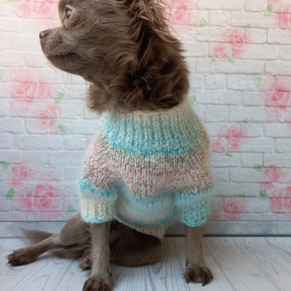 warm-sweater-for-dog-5.jpeg