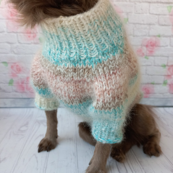 warm-sweater-for-dog-3.jpeg
