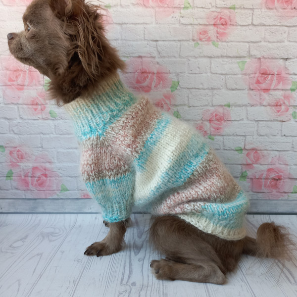 warm-sweater-for-dog-6.jpeg