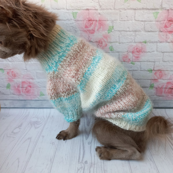 warm-sweater-for-dog-8.jpeg