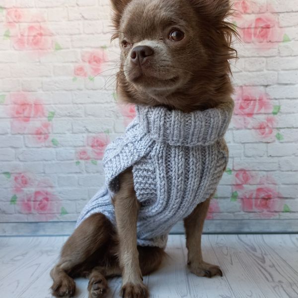 warm-sweater-for-dog-11.jpeg