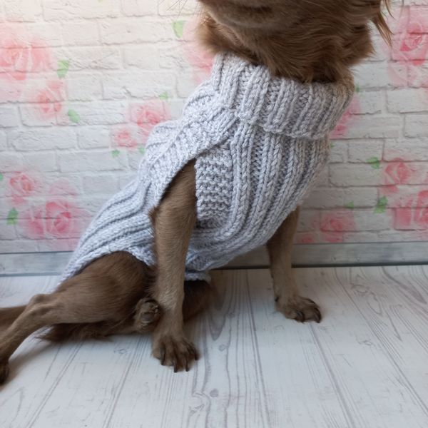 warm-sweater-for-dog-4.jpeg