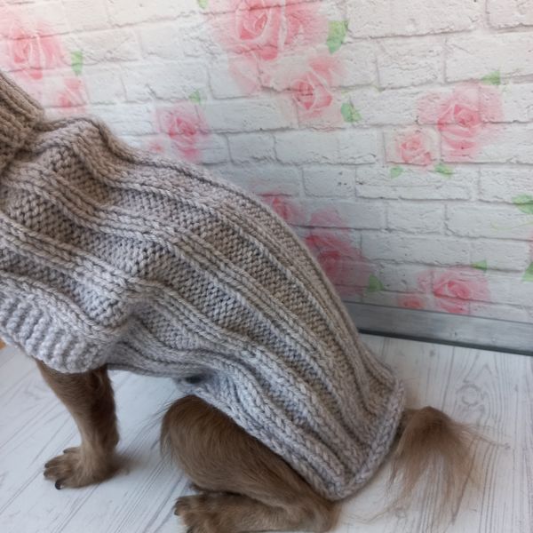 warm-sweater-for-dog-2.jpeg