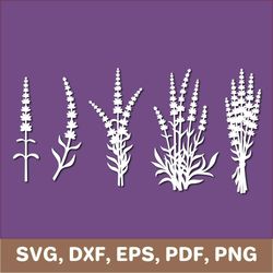 Lavender svg, lavender template, lavender dxf, lavender png, lavender laser cut, lavender cut file, lavender pdf, Cricut