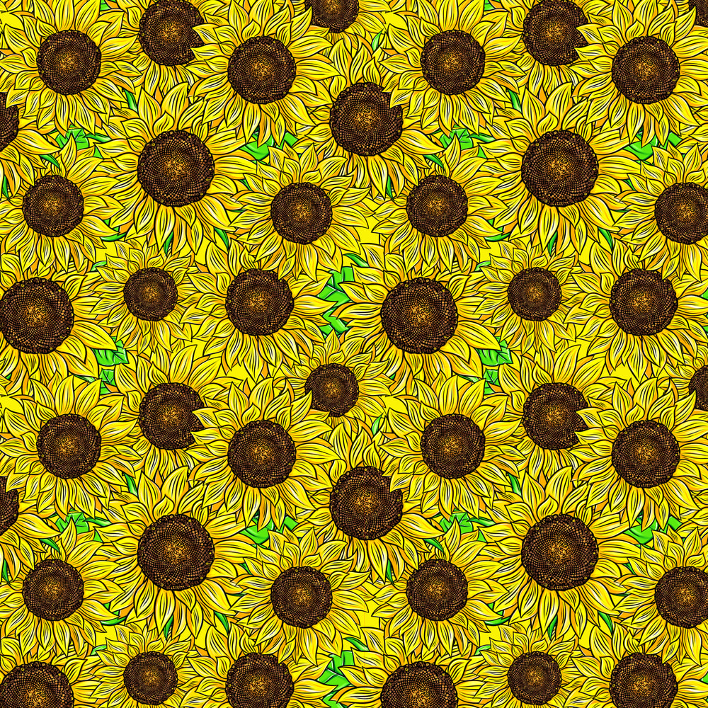 ВИЗУАЛ 1 Подсолнухиl.jpg