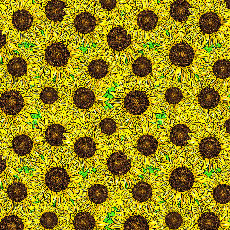 ВИЗУАЛ 1 Подсолнухиl.jpg