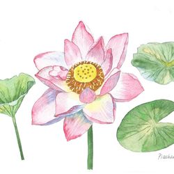 Pink Lotus and Leaves, Watercolor Original, Flower, floral gift