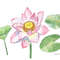 Pink Lotus and Leaves Watercolor II 1.jpg