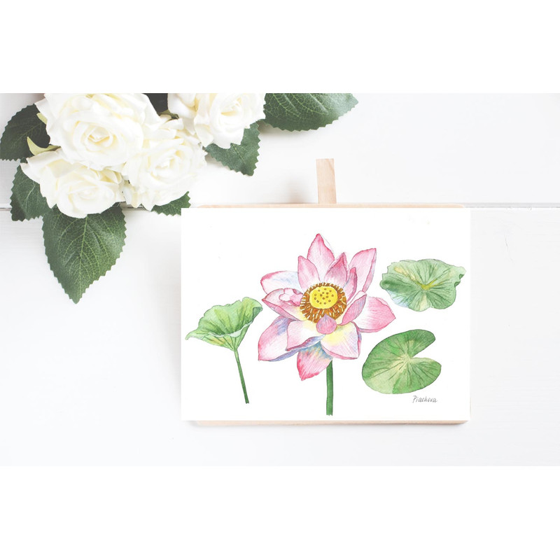 Pink Lotus and Leaves Watercolor II 4.jpg