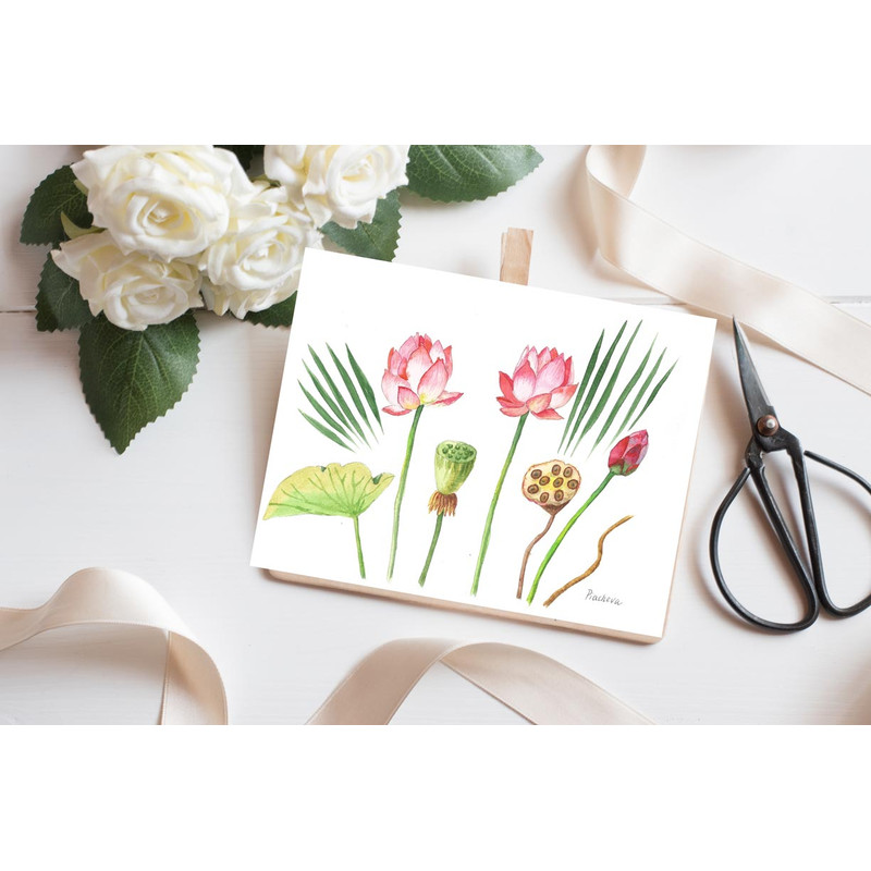 Lotuses and Leaves Watercolor 1.jpg