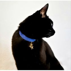 A stylish collar for your cat. A collar for your pet. A collar for your little doggie.