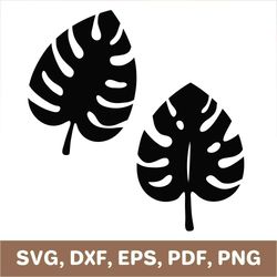 Monstera svg, monstera leaf svg, monstera leaves svg, monstera dxf, monstera leaf dxf, monstera leaves dxf, monstera png